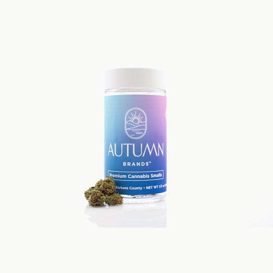 Autumn Brands - OGZ - 14g Smalls - 1