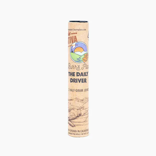 Burr's Place - The Daily Driver | Sativa Blend Mini Joints | 0.5g each | 2pk - 1