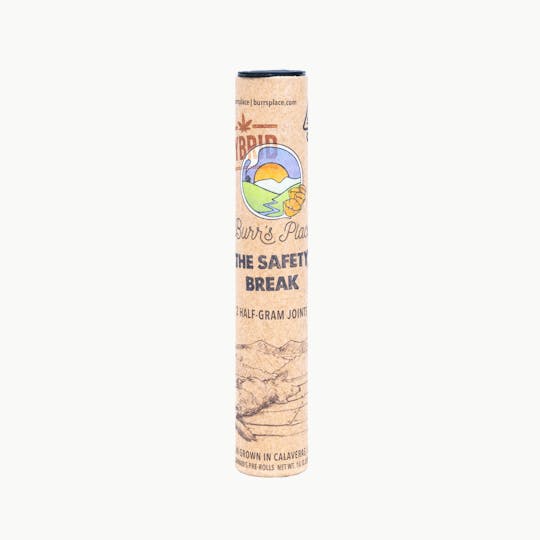 Burr's Place - Burr’s Place | The Safety Break - 2pk (1g) Hybrid Blend Pre-Roll Doob-Toob - 1