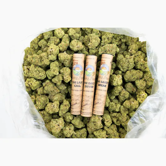Burr's Place - The Safety Break | Hybrid Blend Minis | 0.5g each | 2pk - 1
