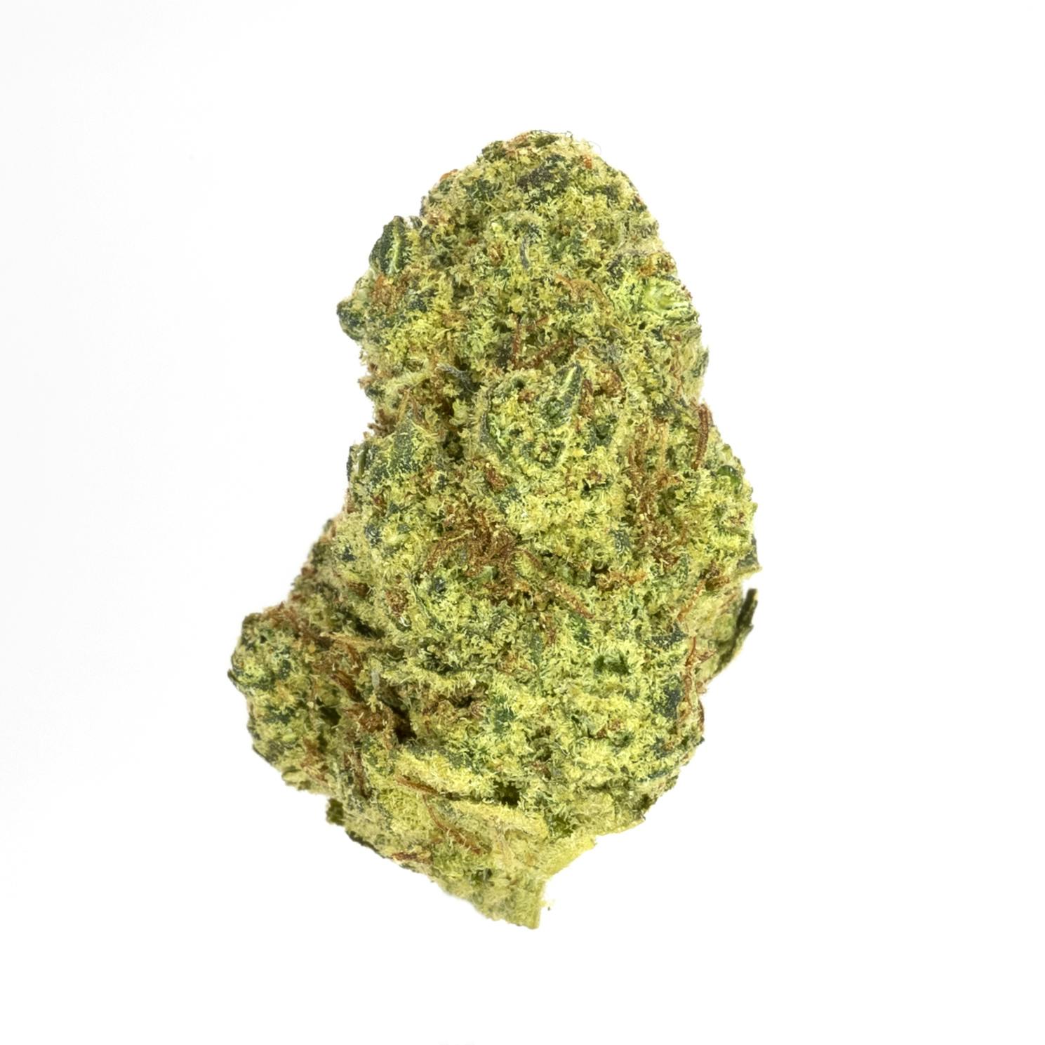 Prolific Growhouse - Murphy's Sourz - 1