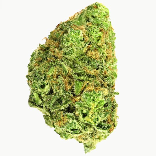 Prolific Growhouse - Orange Creamsicle - 1