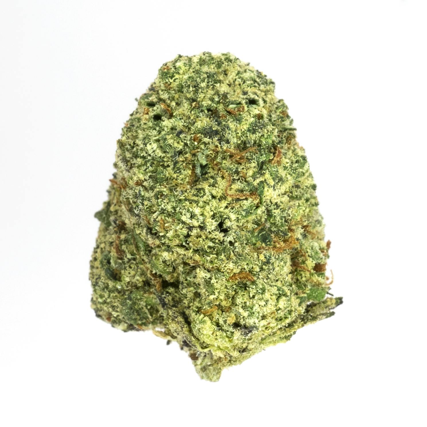 Prolific Growhouse - Souffle Runtz - 1