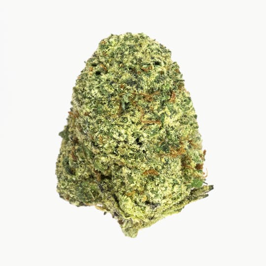 Prolific Growhouse - Souffle Runtz - 1