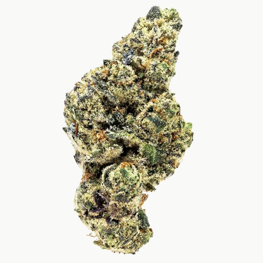 Prolific Growhouse - Krispy Creme Kush - 1