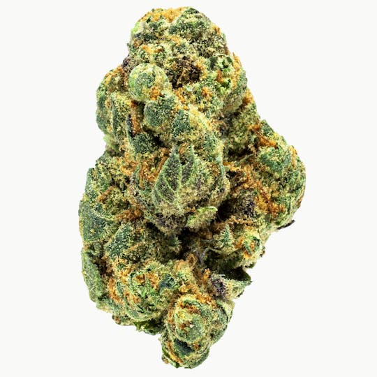 Prolific Growhouse - Sour Gushers - 1