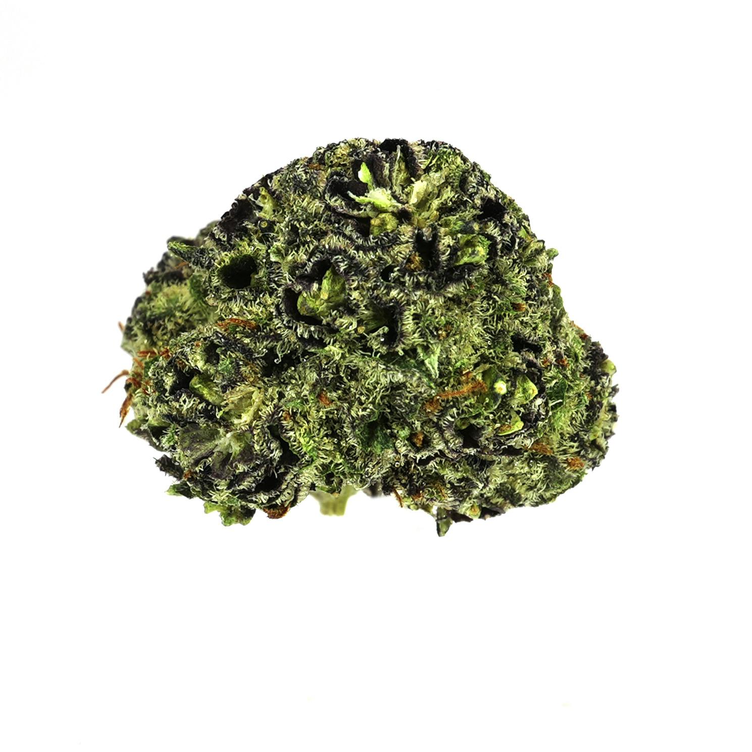 Prolific Growhouse - Purp - 1