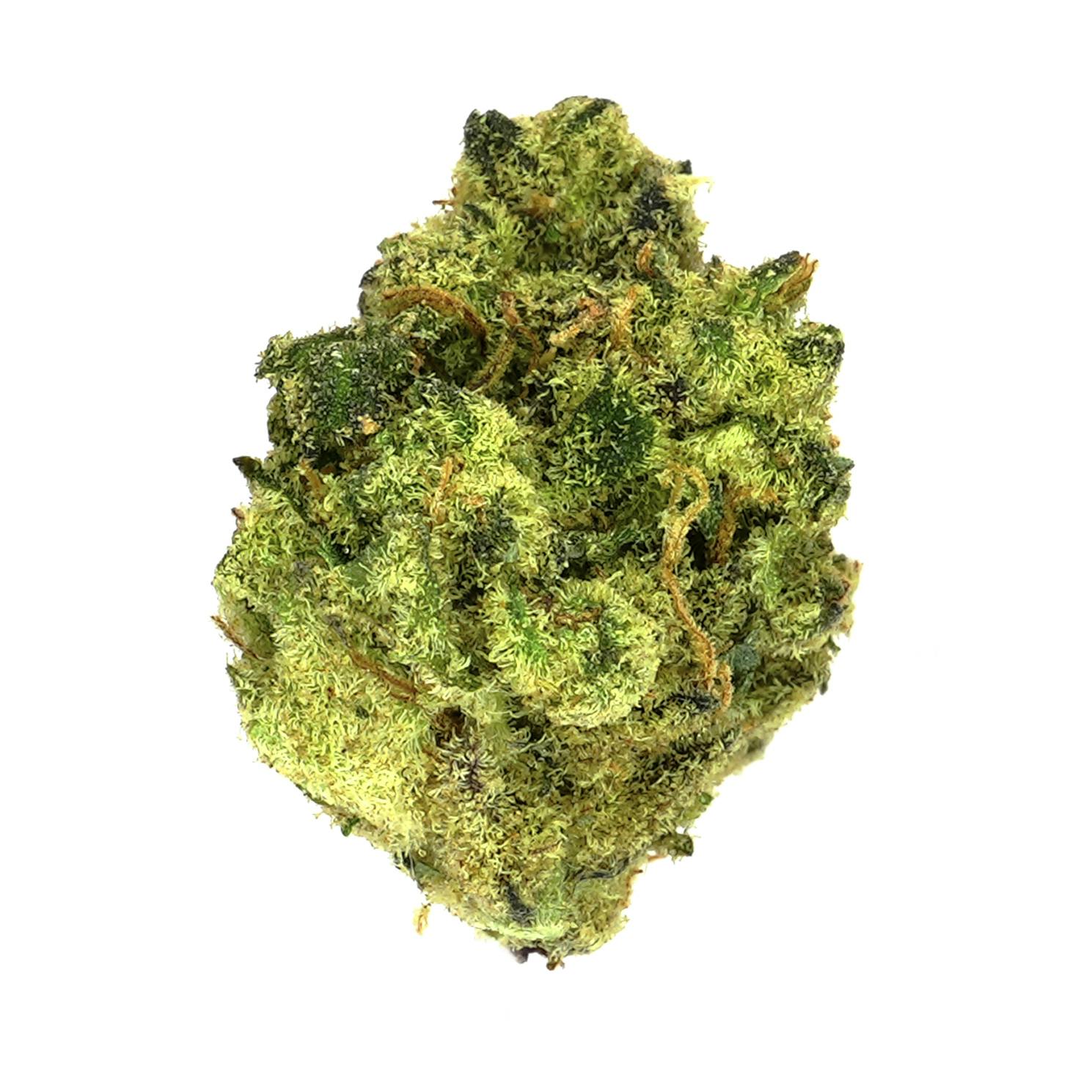 Prolific Growhouse - Outerspace Lemonz - 1