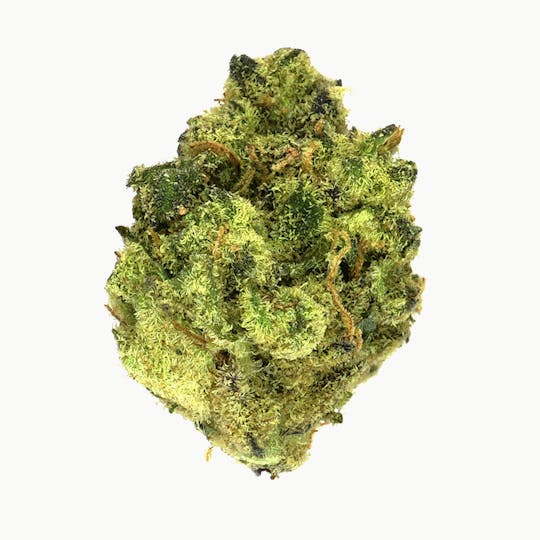 Prolific Growhouse - Outerspace Lemonz - 1