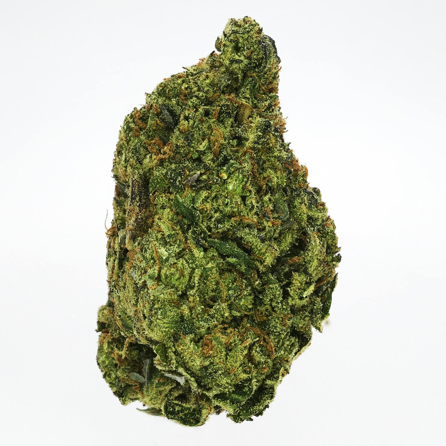 Prolific Growhouse - P-Funk - 1