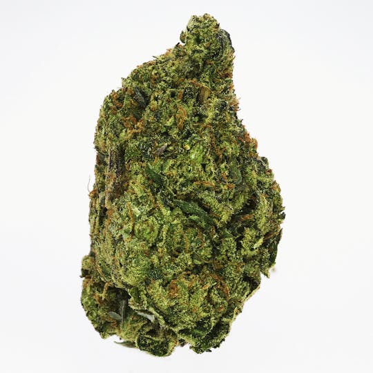 Prolific Growhouse - P-Funk - 1