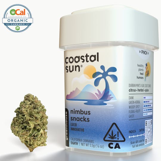 Coastal Sun - Nimbus Snacks Greenhouse Flower 3.5g - 1