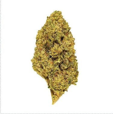 Smoakland - Smoakland Exotix | Jelly Donuts (H) | Big Buds | 14g - 1