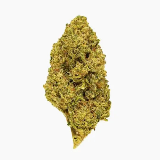 Smoakland - Smoakland Exotix | Jelly Donuts (I) | Big Buds | 14g - 1