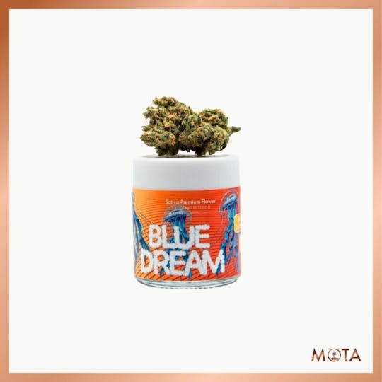 MOTA - Mota 8th Blue Dream - 1