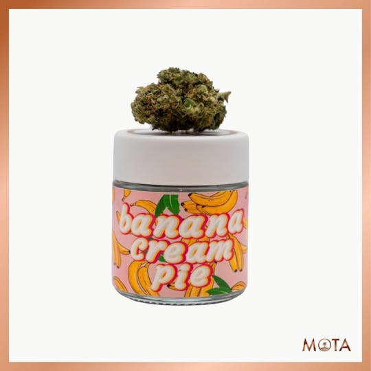 MOTA - Mota 8th Banana Cream Pie - 1