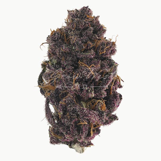 Grow West Cannabis Company - Buckeye Purple | Reserve | Hand-Trimmed Flower - 1