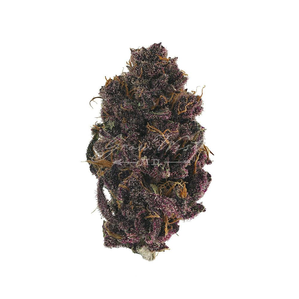 Grow West Cannabis Company - Buckeye Purple | Reserve | Hand-Trimmed Flower | 3.5g - 1