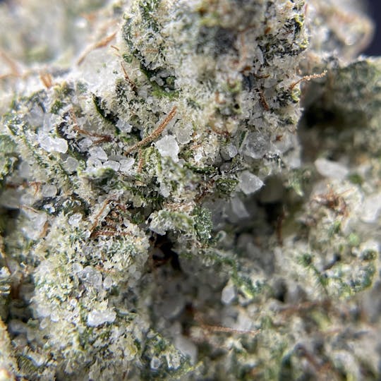 Twenty Two K / 22k - BLACK PEARL - Diamond Coated Indoor - GG#4 - 3.5g | 1/8oz - 1