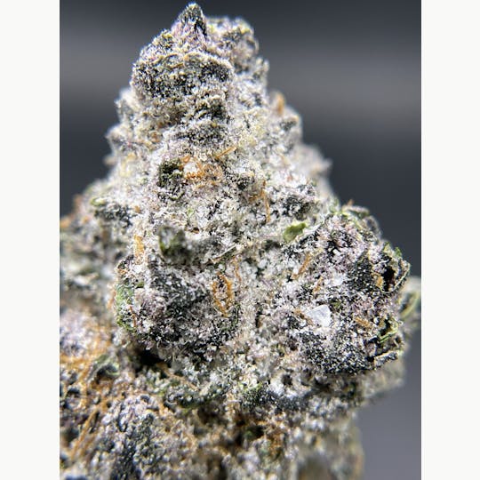 Twenty Two K / 22k - BLACK PEARL - Diamond Coated Indoor - Trop Cherry - 3.5g | 1/8oz - 1