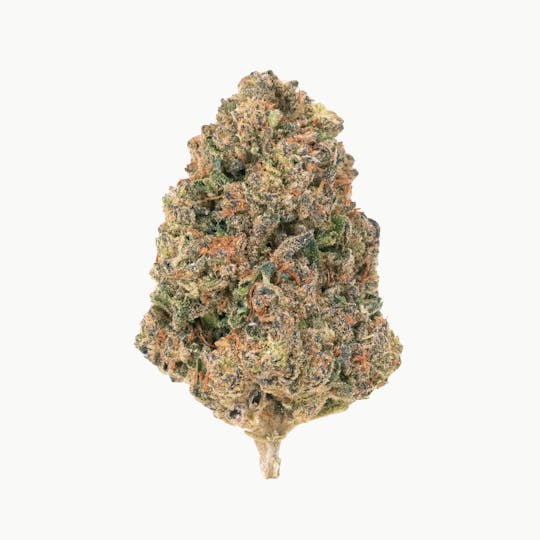 Burr's Place - Burr's Place | Carbon Fiber - 7g Bag (Indica) - 1