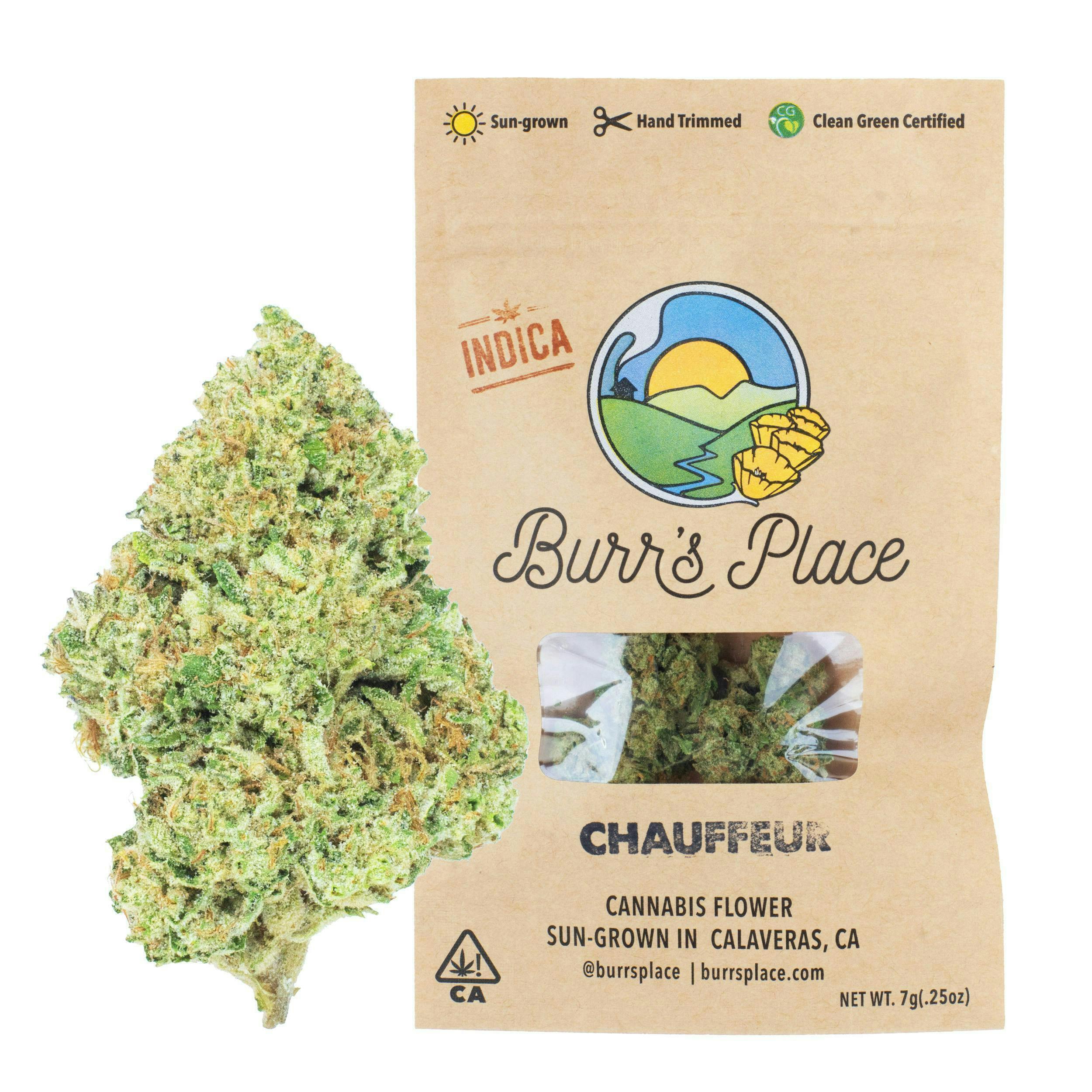 Burr's Place - Chauffeur | Big Buds | 7g - 1