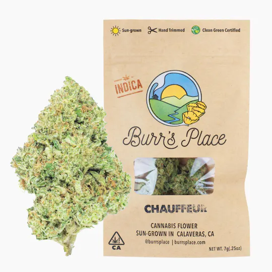 Burr's Place - Chauffeur | Big Buds | 7g - 1
