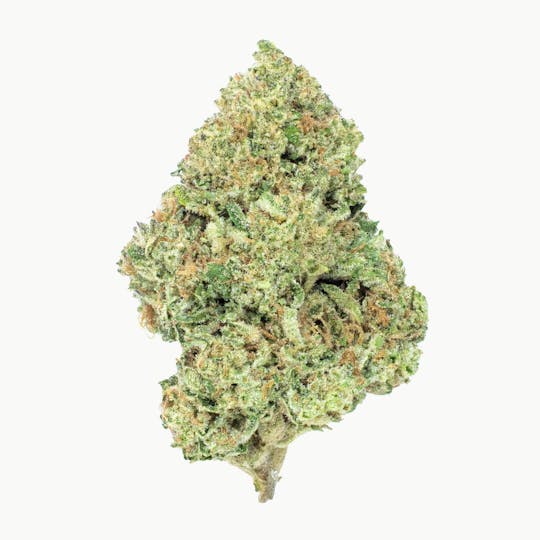 Burr's Place - Burr's Place | Chauffeur - 14g Bag (Indica) - 1