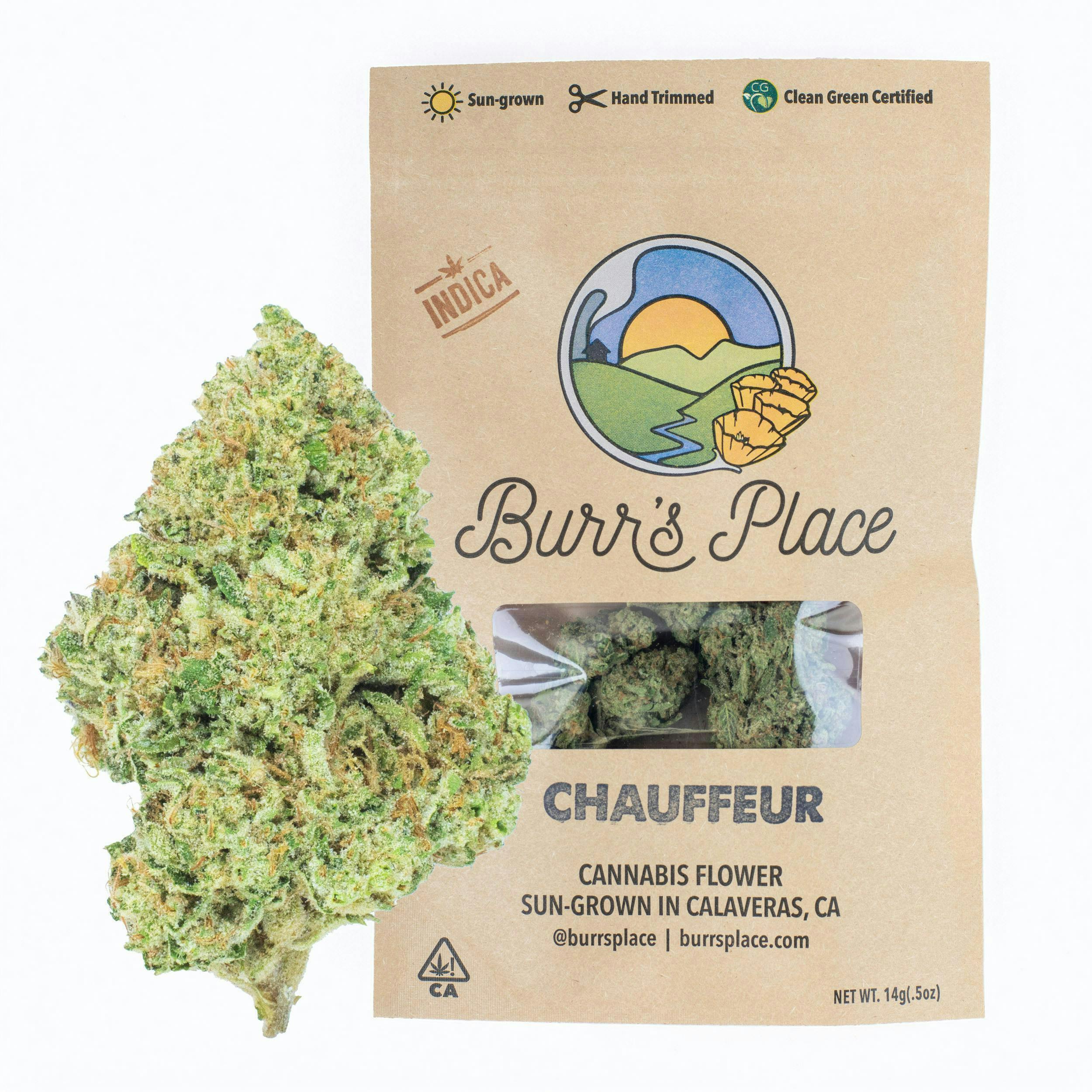 Burr's Place - Burr's Place | Chauffeur | Big Buds | 14g - 1