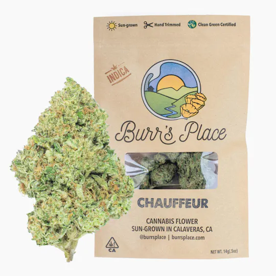 Burr's Place - Burr's Place | Chauffeur | Big Buds | 14g - 1