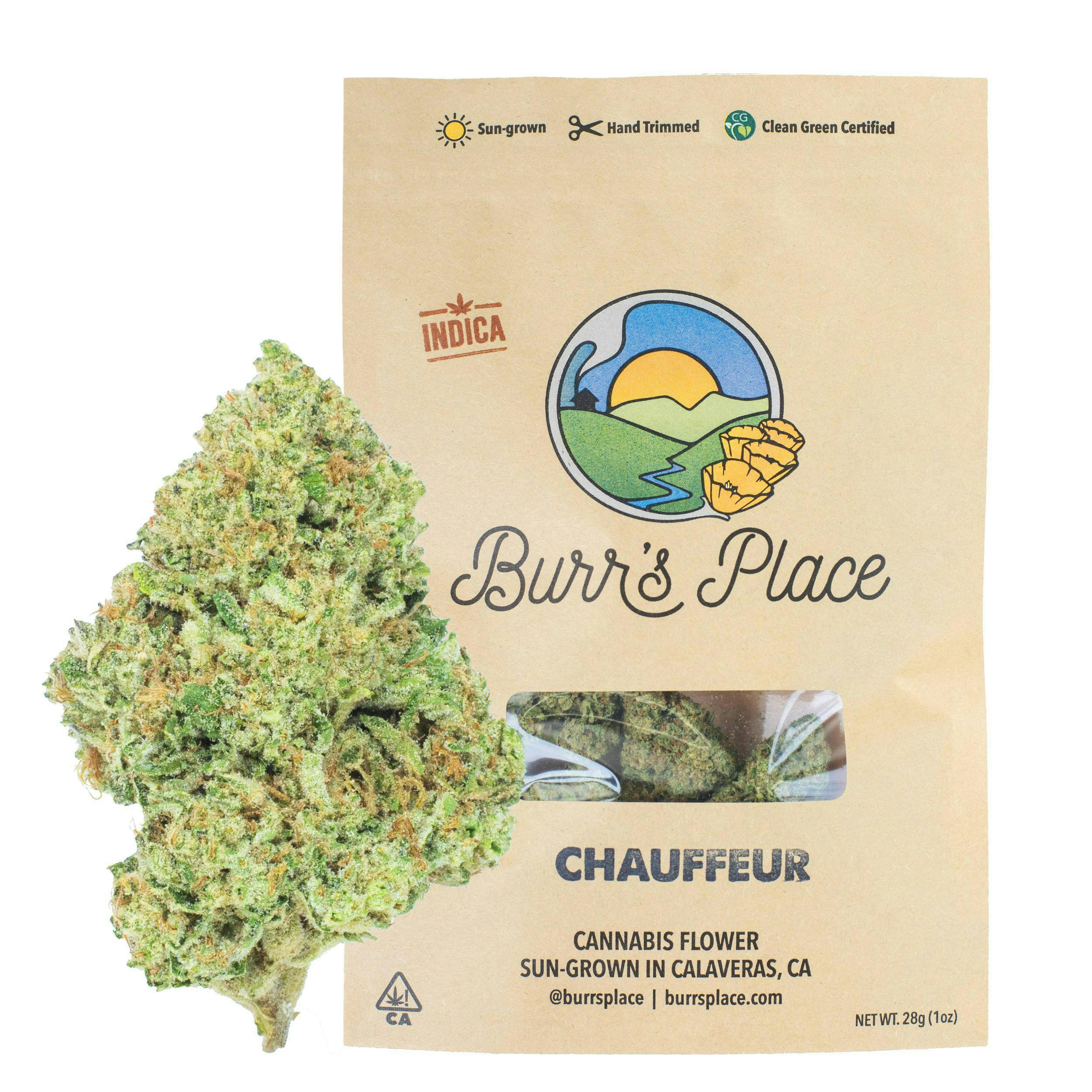 Burr's Place - Burr's Place | Chauffeur | Big Buds | 28g - 1
