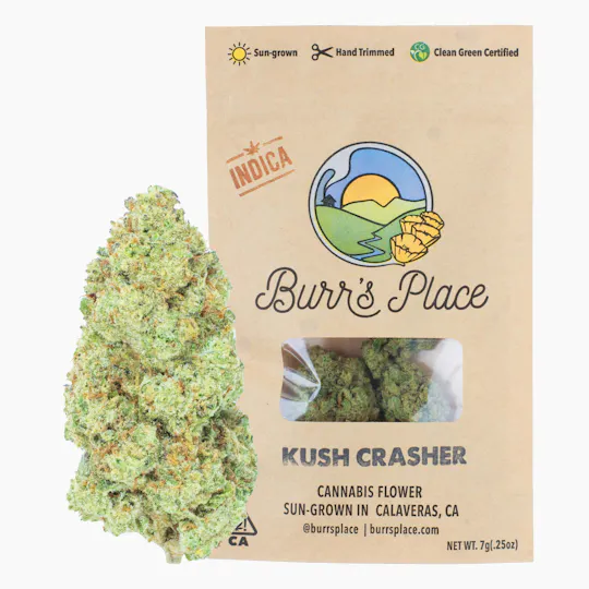 Burr's Place - Kush Crasher | Big Buds | 7g - 1