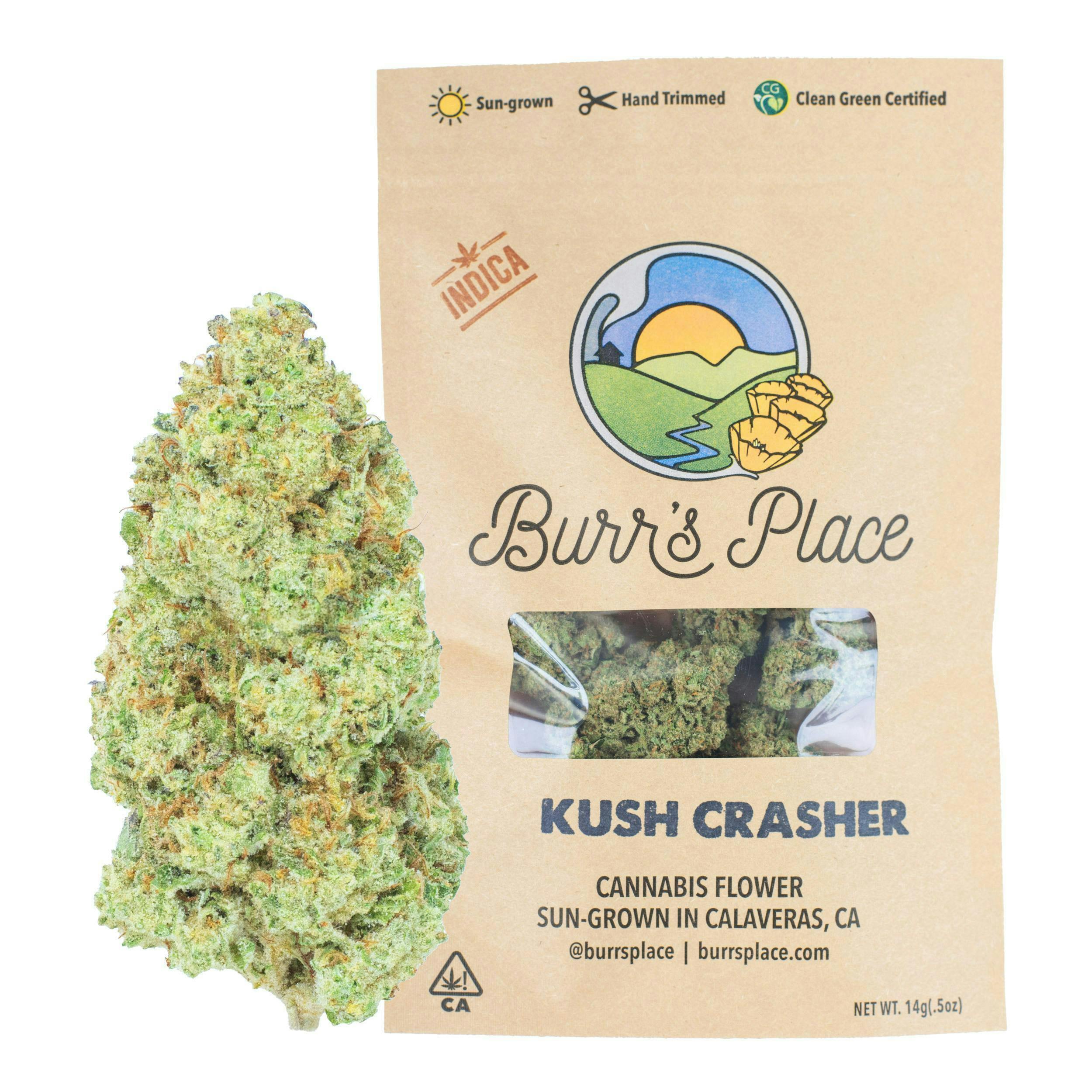 Burr's Place - Burr's Place | Kush Crasher | Big Buds | 14g - 1