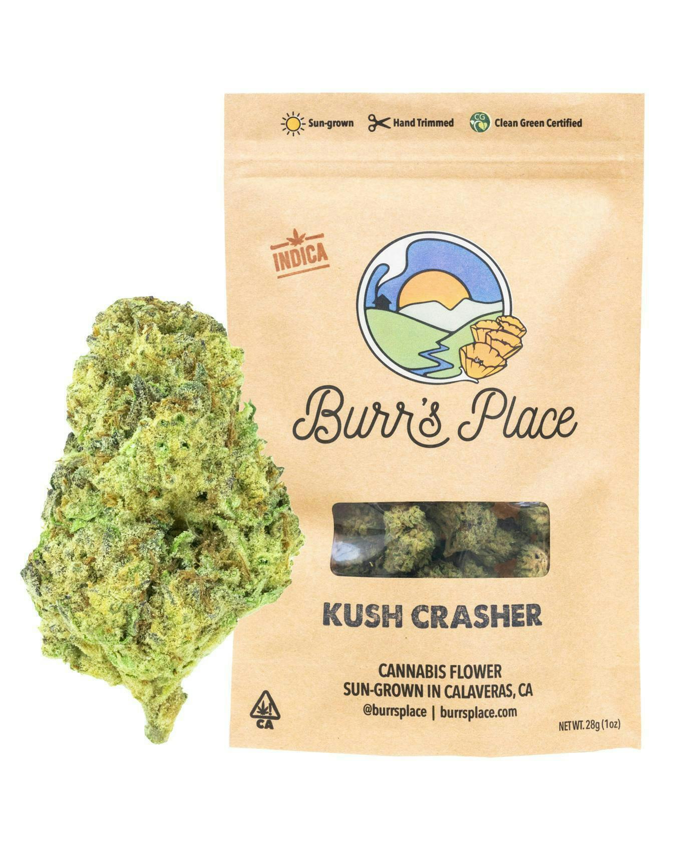 Burr's Place - Kush Crasher | Big Buds | 28g - 1