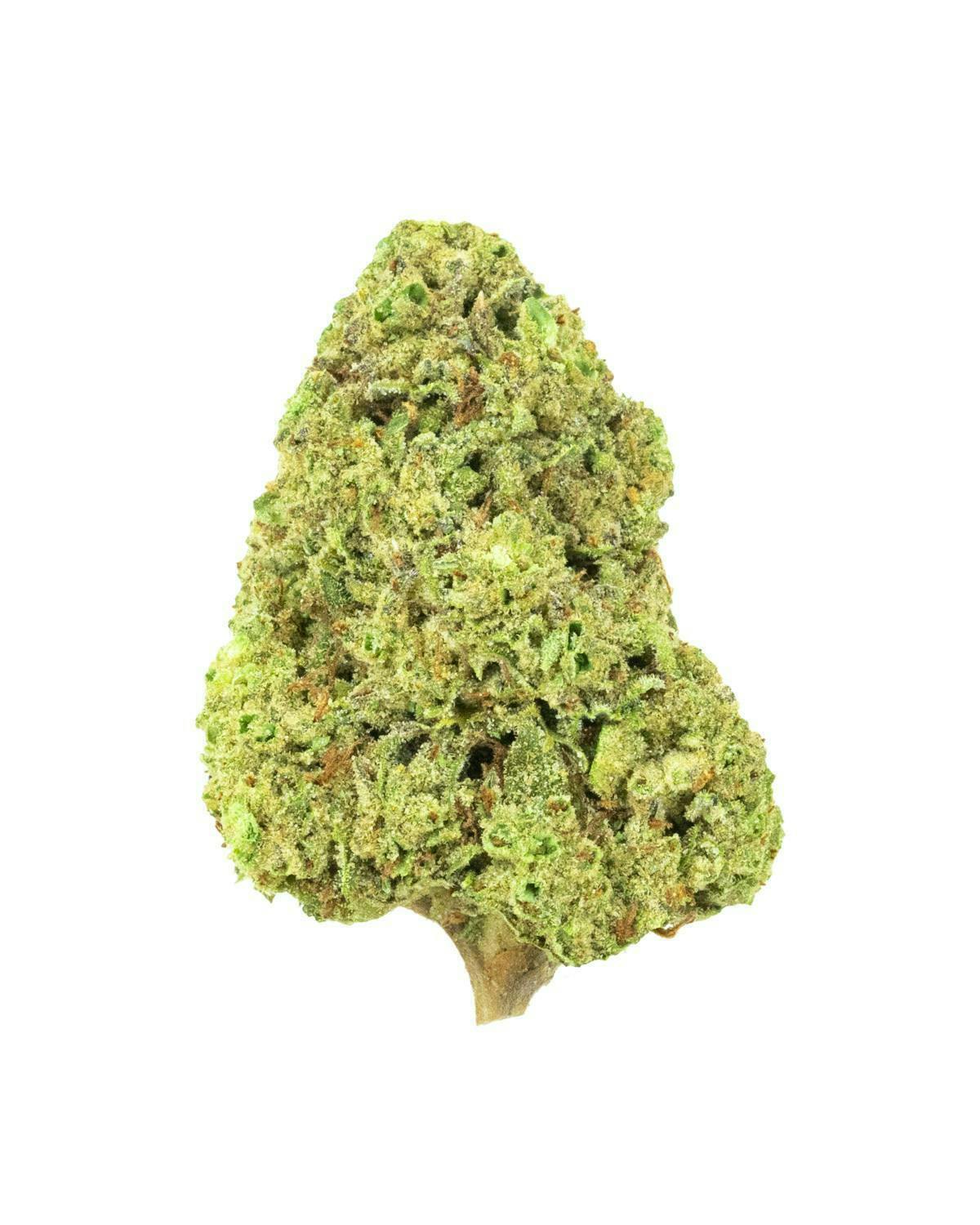 Burr's Place - Burr's Place | Ze Chem | Big Buds | 7g - 1