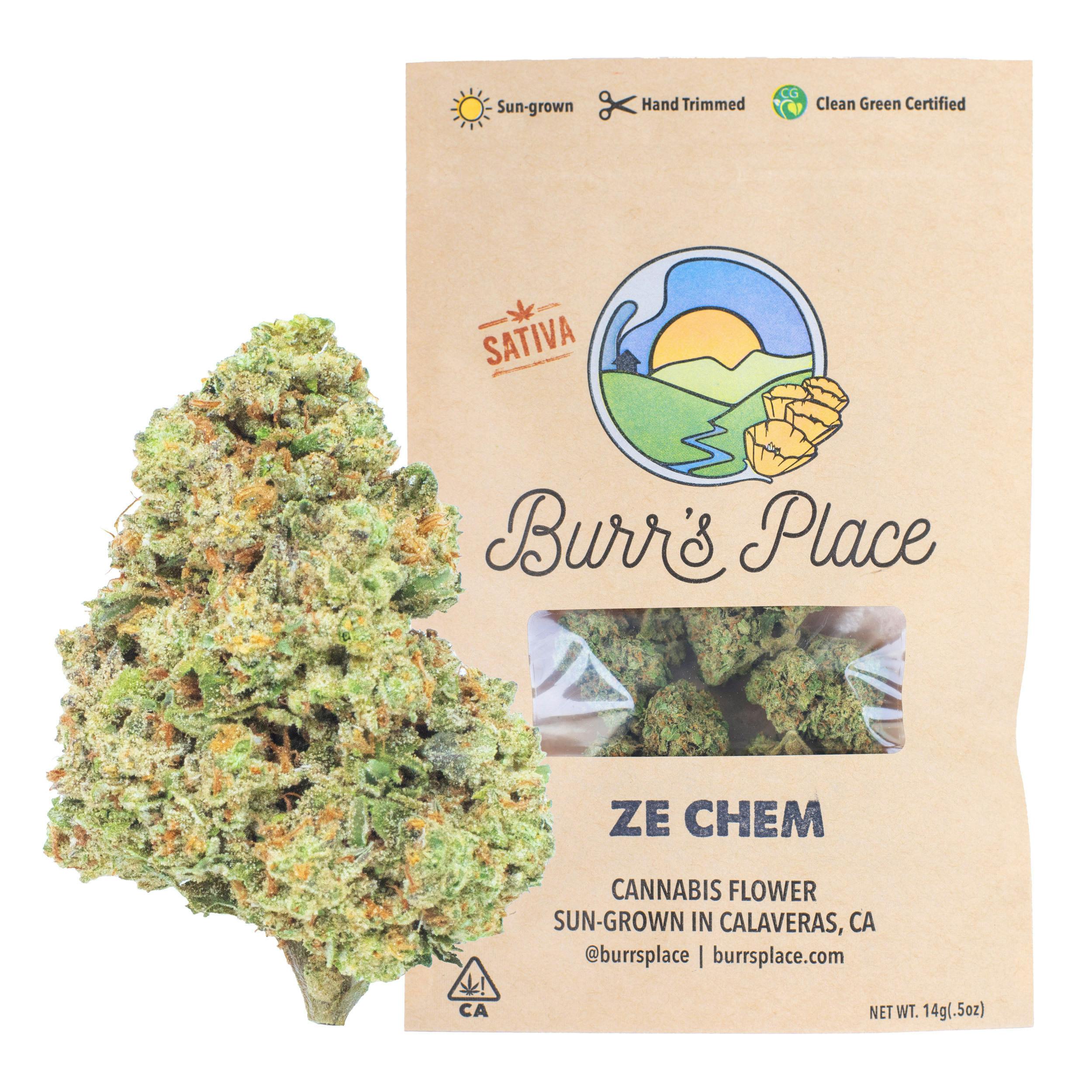 Burr's Place - Ze Chem | Big Buds | 14g - 1