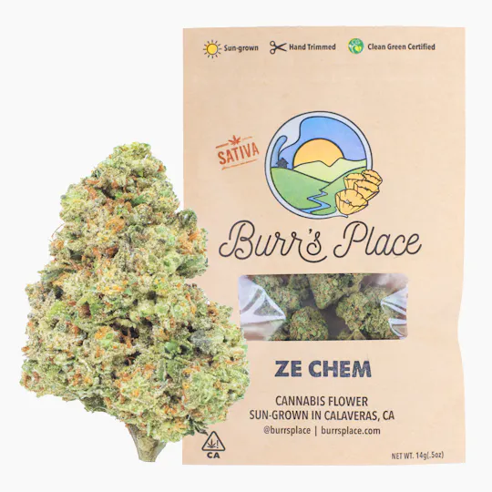 Burr's Place - Ze Chem | Big Buds | 14g - 1