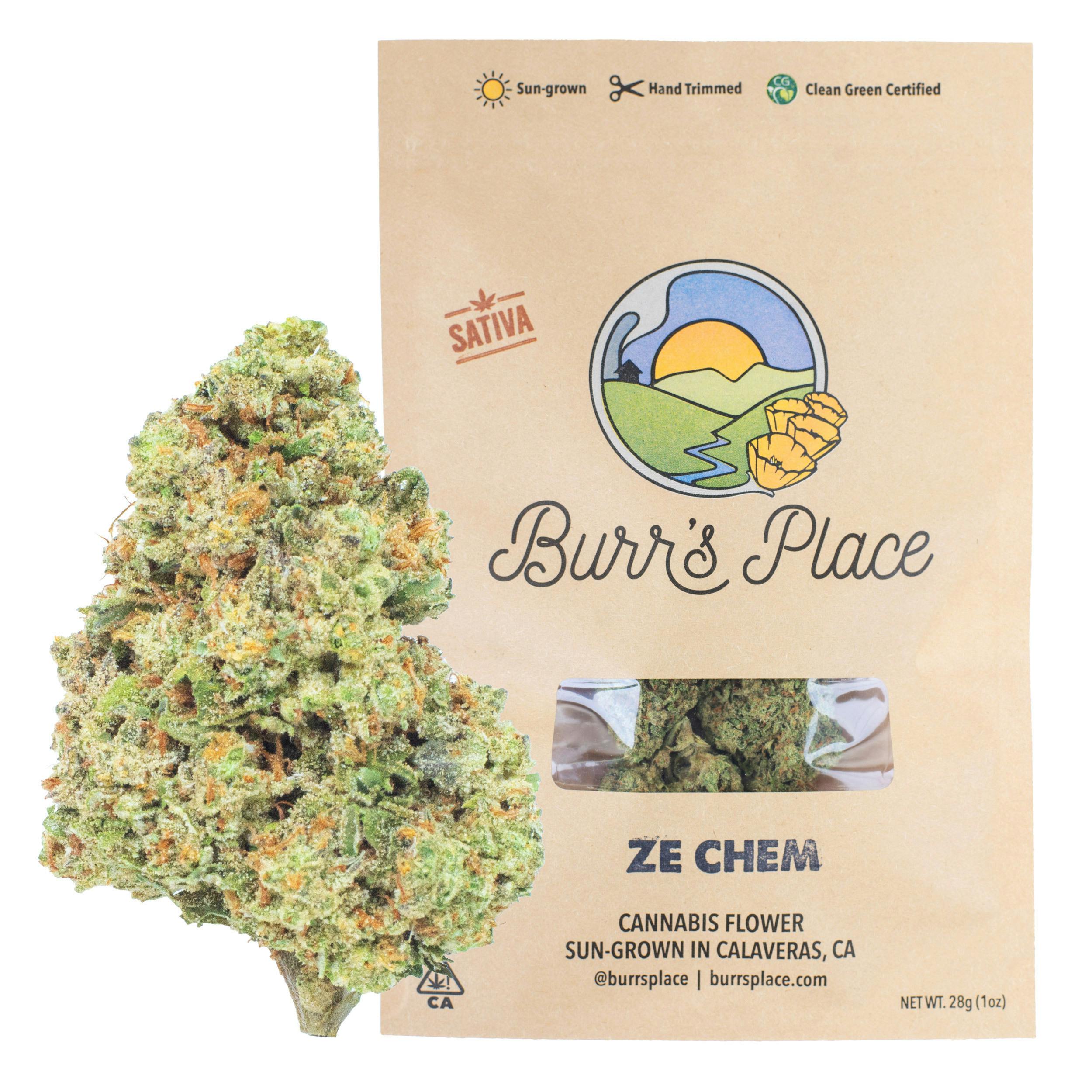 Burr's Place - Ze Chem | Big Buds | 28g - 1