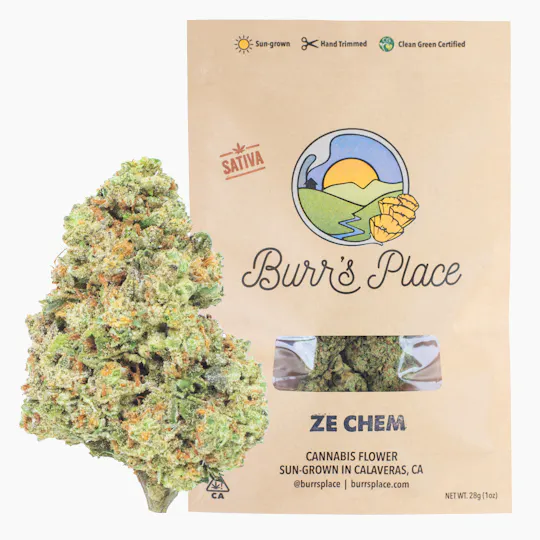 Burr's Place - Ze Chem | Big Buds | 28g - 1