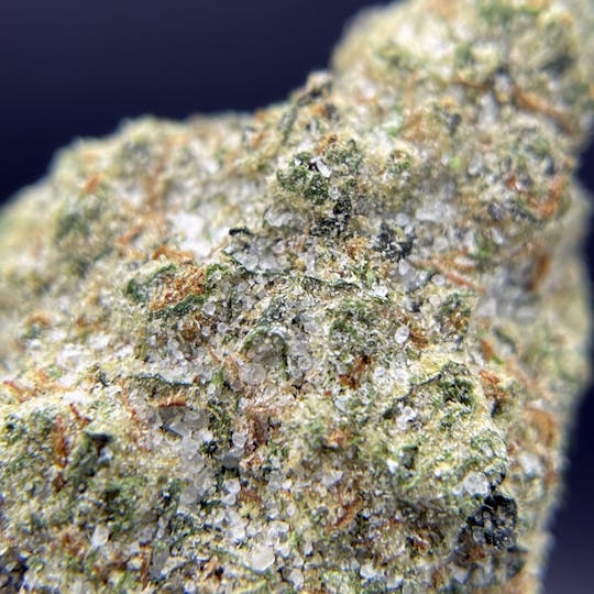 Twenty Two K / 22k - BLACK PEARL - Diamond Coated Indoor - GMO - 3.5g | 1/8oz - 1