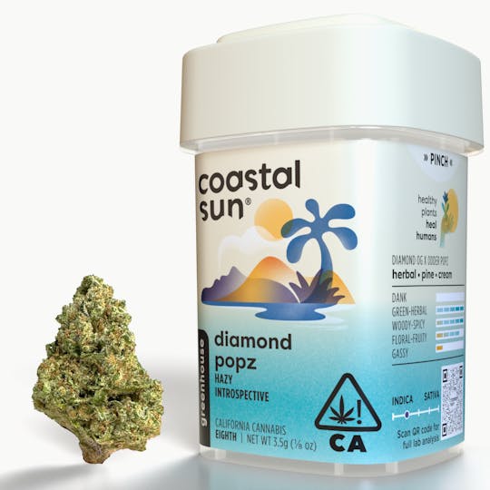 Coastal Sun - Diamond Popz Greenhouse Flower 3.5g - 1