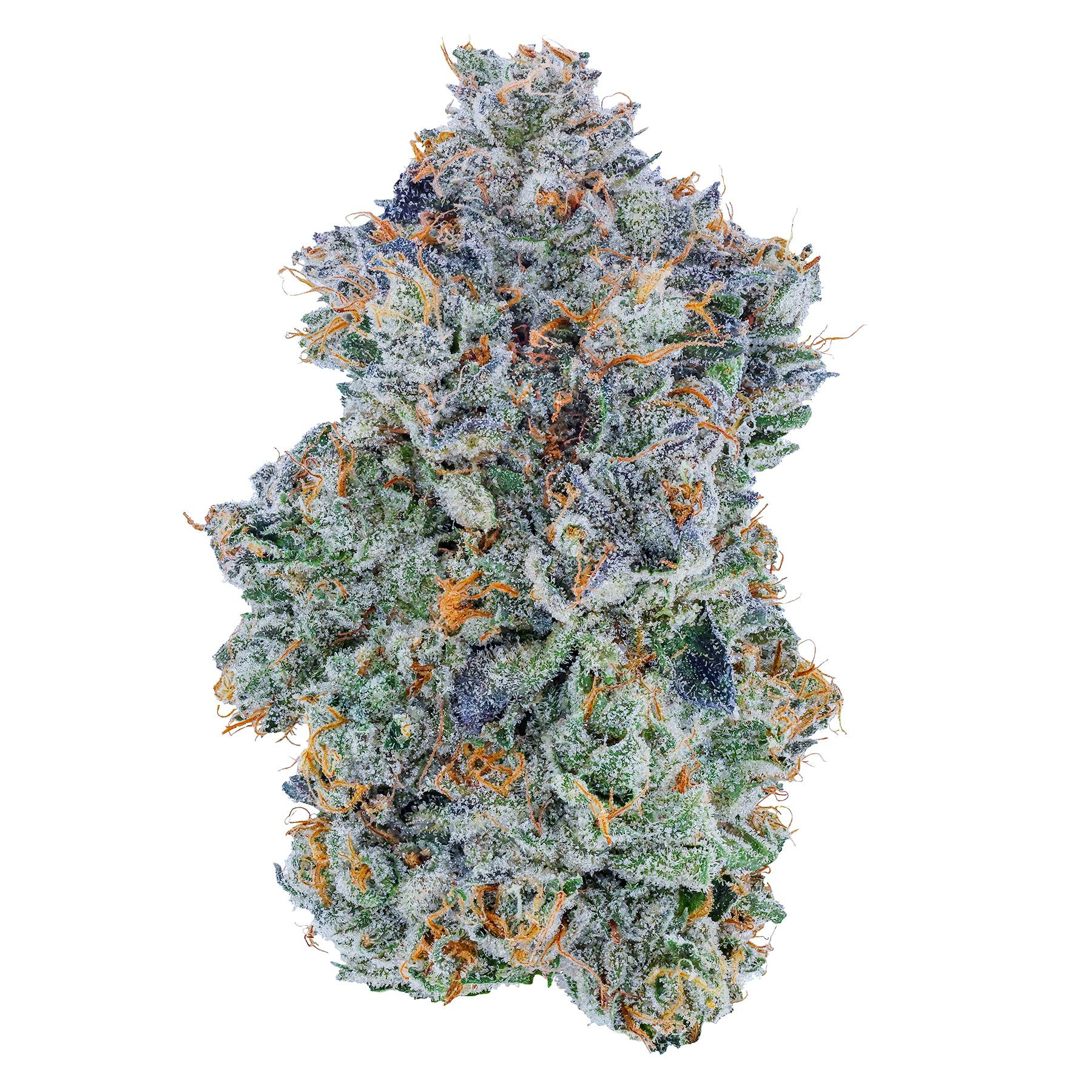 Fig Farms - Fig Farms | Blue Face | Big Buds - 1