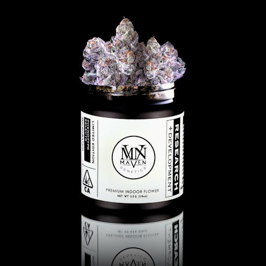 Maven Genetics - Pre-98 Bubba Kush x Runtz - 1