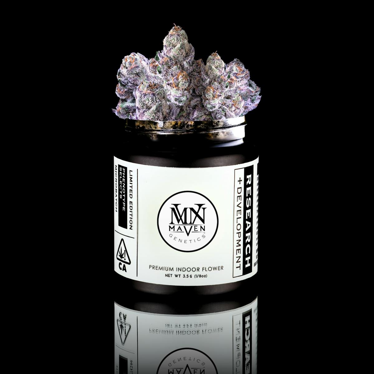 Pre-98 Bubba Kush x Runtz - Maven Genetics