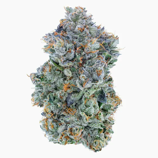 Fig Farms - Fig Farms | Jelly Zappers | Big Buds - 1