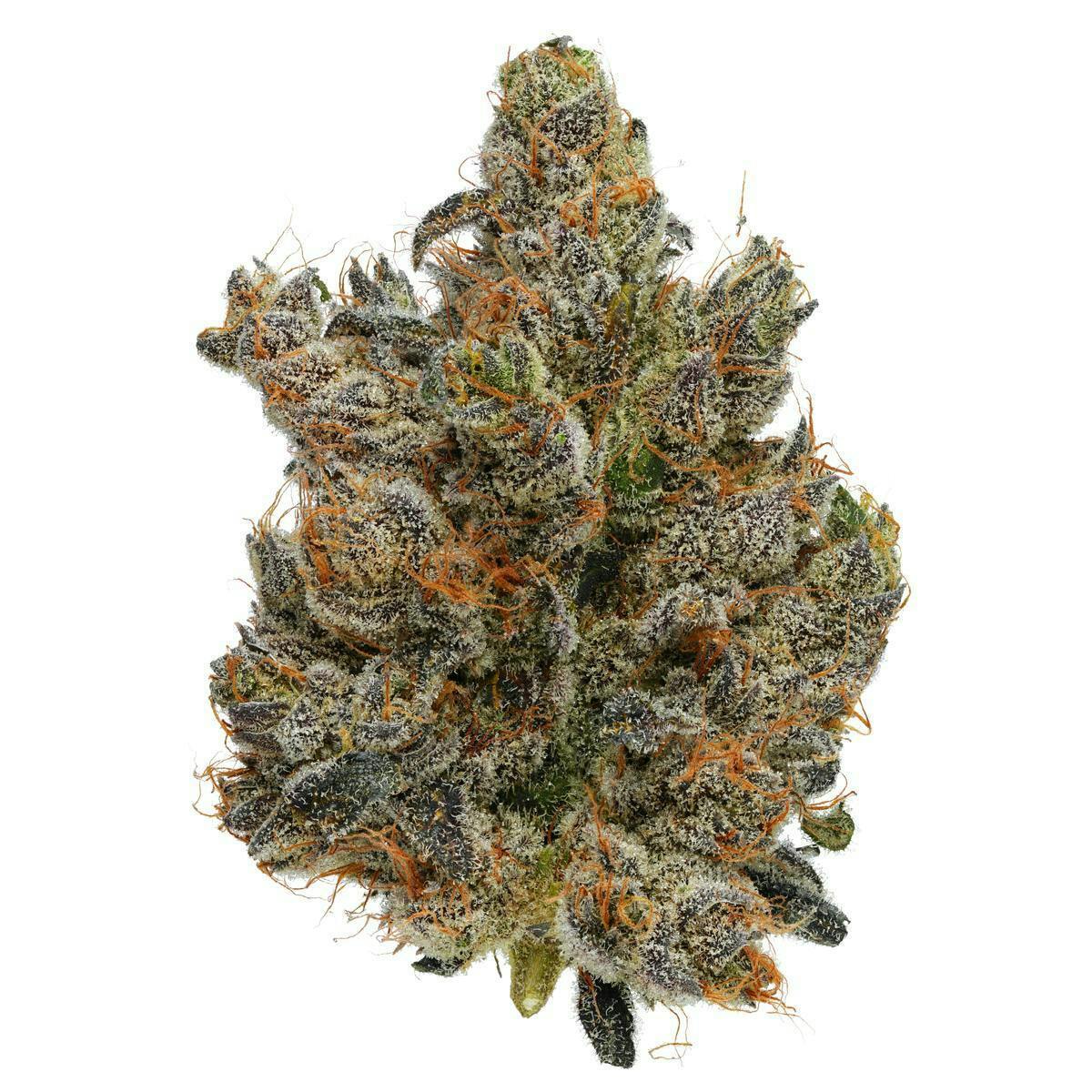 Fig Farms - Fig Farms | Dark Karma | Big Buds - 1