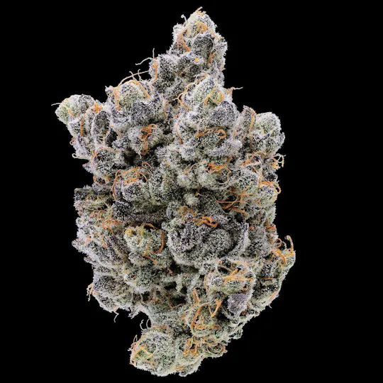 Fig Farms - Fig Farms | Lucid Blue | Big Buds - 1