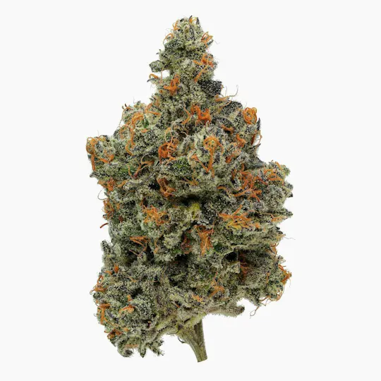 Fig Farms - Fig Farms | Animal Face | Big Buds - 1