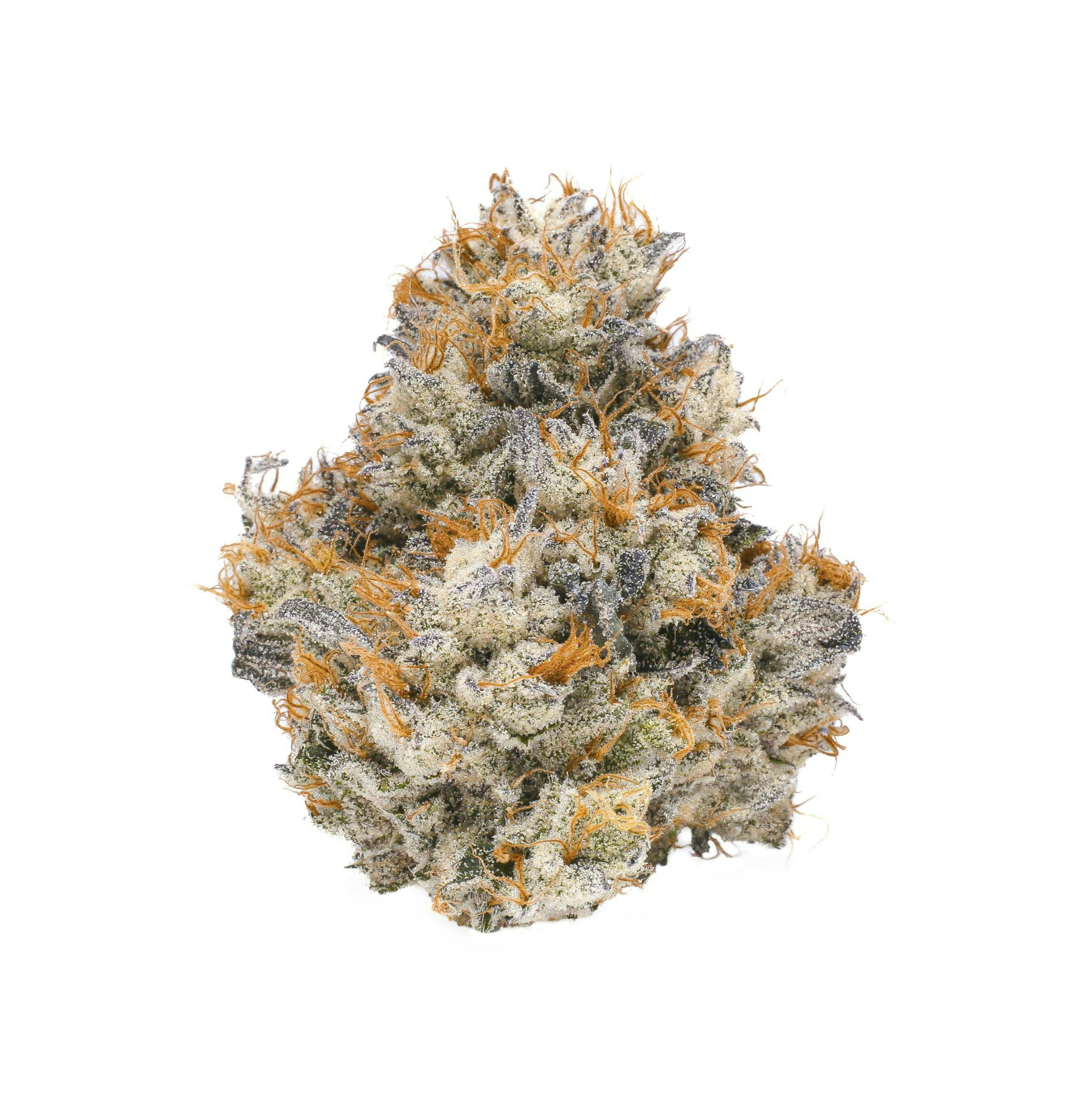 Fig Farms - Fig Farms | GM-OG | Big Buds - 1