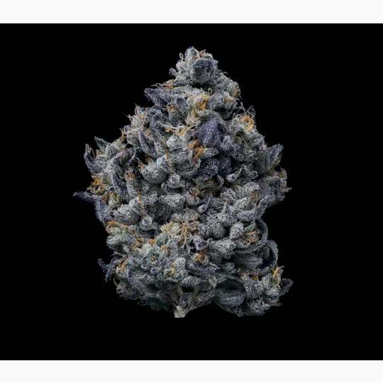 Fig Farms - Fig Farms | Lemon Cherry Gelato | Big Buds - 1